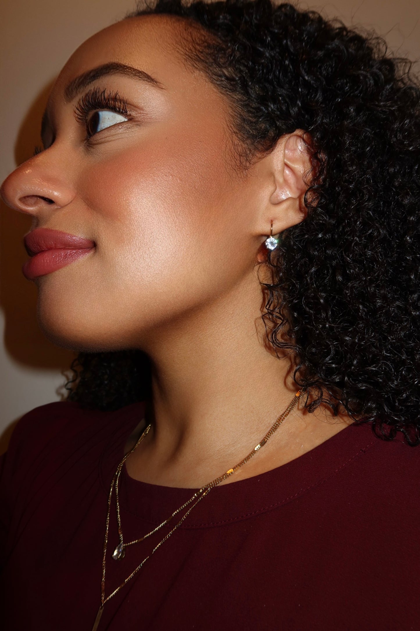 the dainty drop earrings